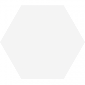 Timeless White Hexagonal Matt 150x170