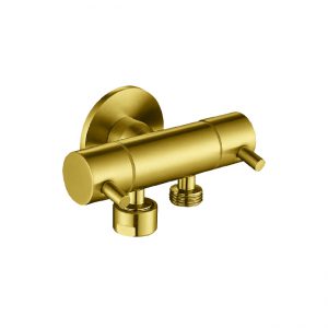DUAL CONTROL MINI CISTERN COCK GOLD