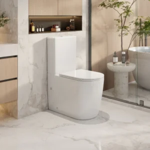Walton Tornado Rimless Back To Wall Toilet Suite
